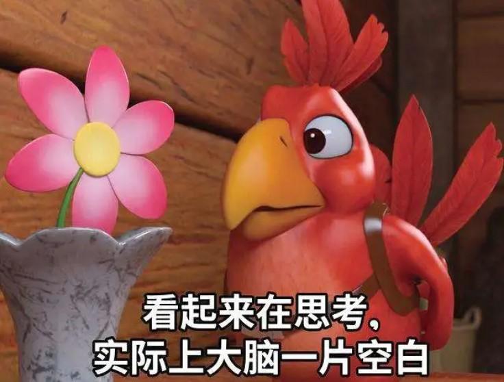 装修差不多收尾了，来谈谈我的装修经历与感受