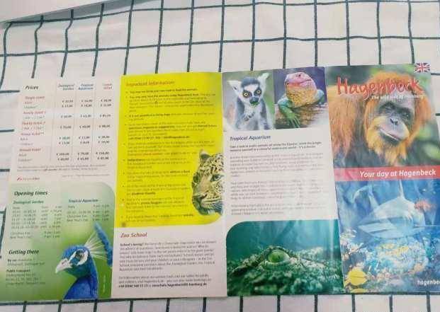 建议建立国家动物园英语，开启全新的文化交流之旅
