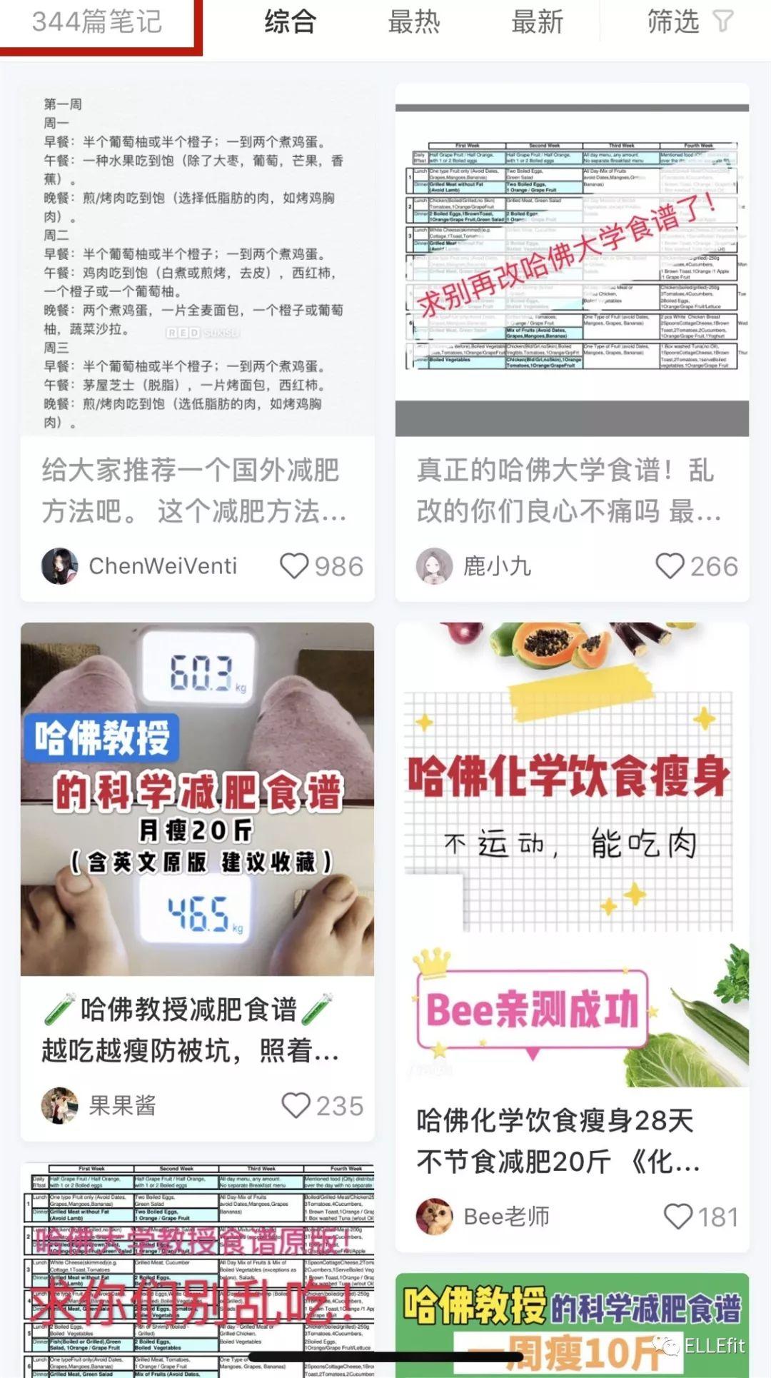 减肥餐大学，探索健康饮食的秘诀
