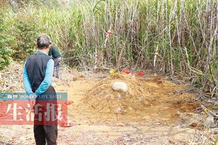 孕妇吃坟头草险丧命，食品安全与知识普及的重要性