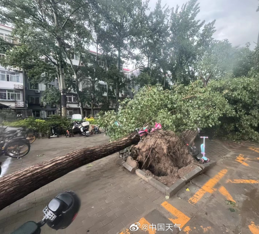 北京遭遇罕见9级大风，城市运转面临挑战