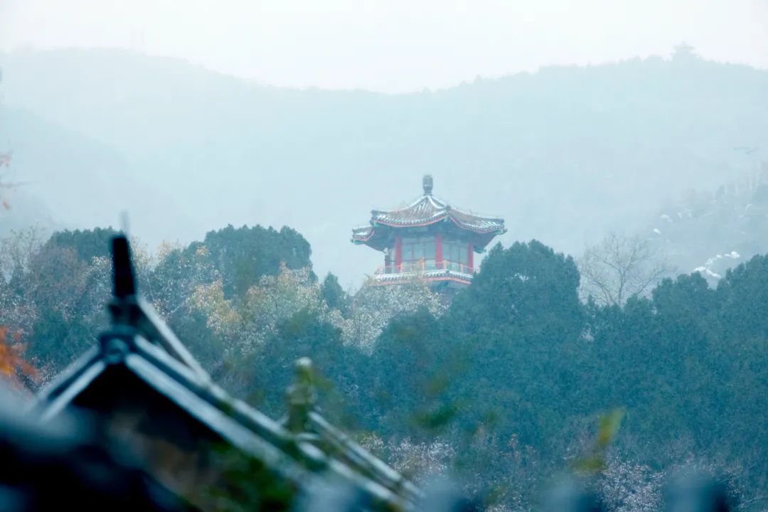 北京多景区恢复开放，迎接美好时光