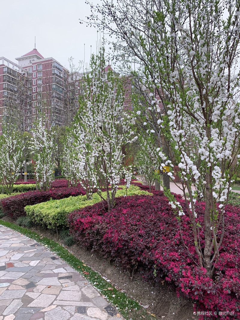 三河绿地的生态之旅与都市魅力