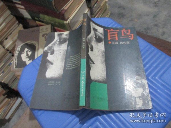 盲鸟，何为盲，何为勇气