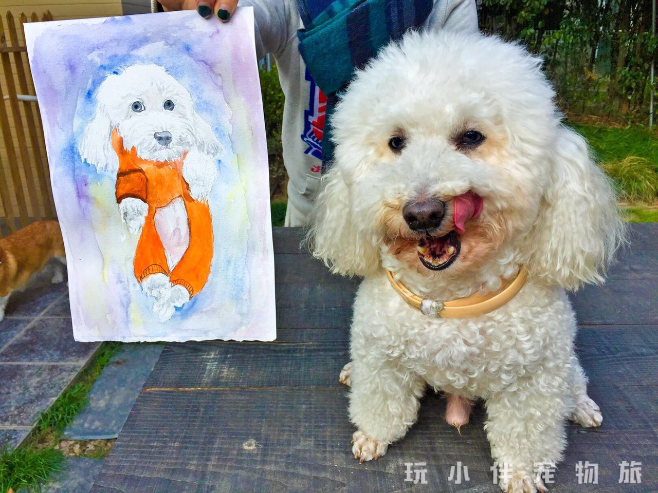 狗界名画，一幅幅触动心灵的画作