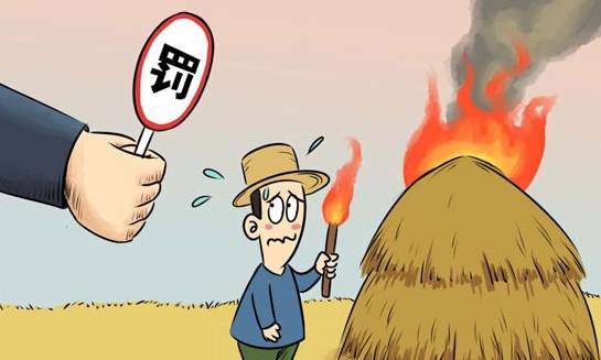 河南洛阳两地因焚烧秸秆被扣罚财力，反思与启示
