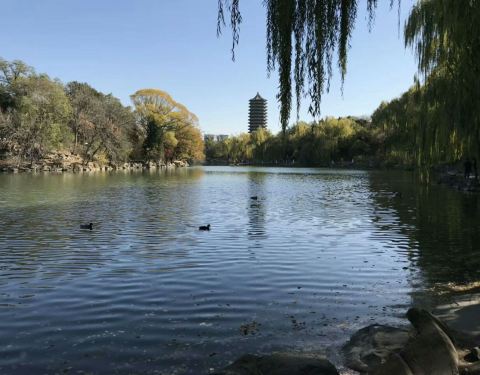 北京大学未名湖，历史底蕴与现代风采的完美融合