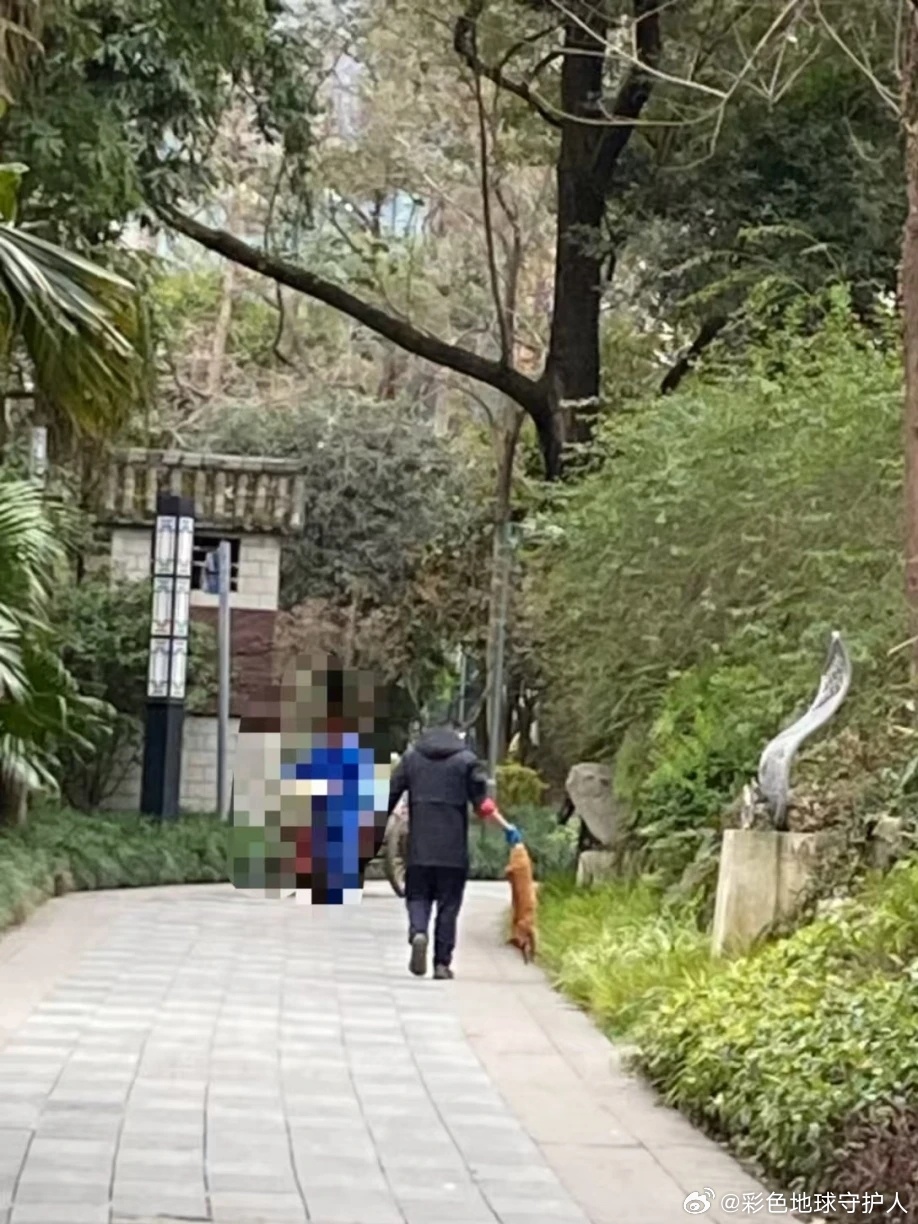 公园有人聚众淫乱？成都公安通报