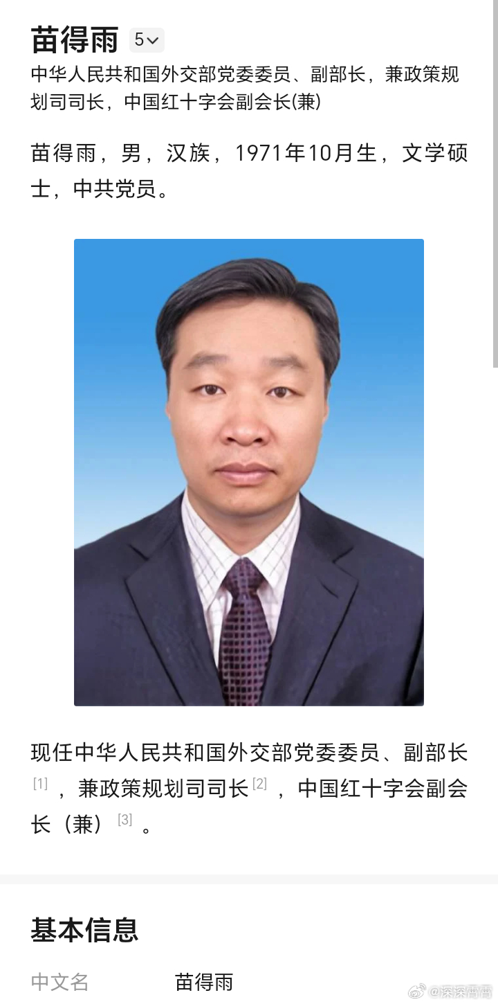 苗得雨外交部副部长，引领外交新风尚，展现大国担当