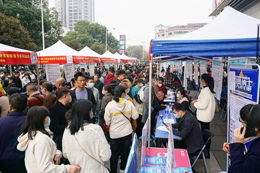 哈尔滨高校视频女主，聚焦校园新星的光芒