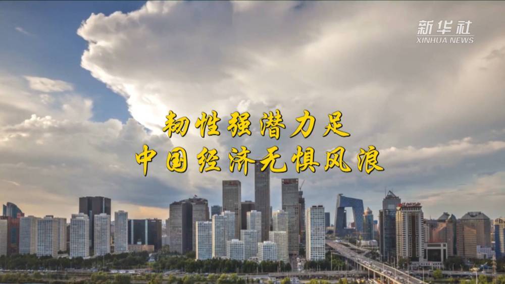 我国经济韧性强，逆境中的稳健增长与持续动力