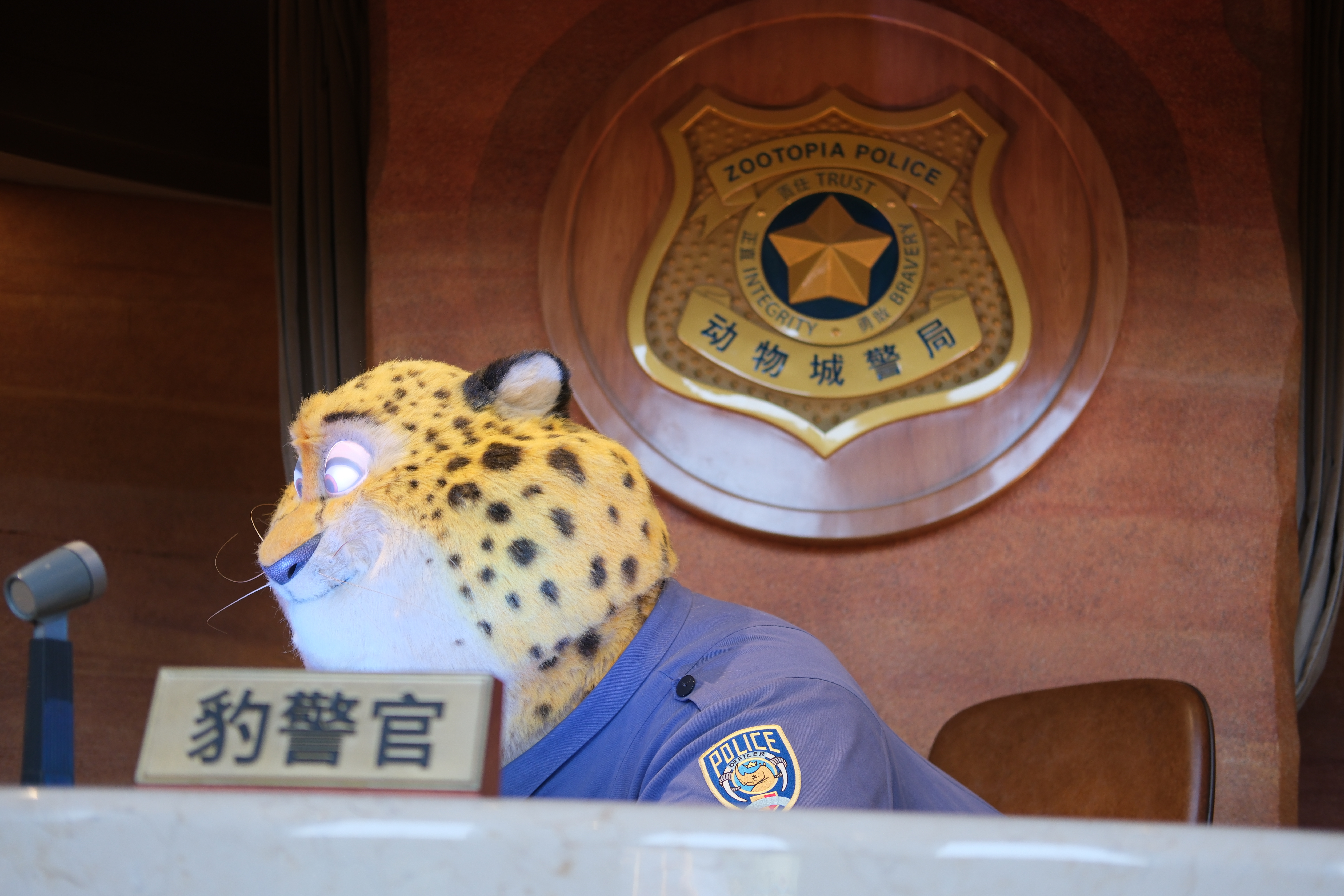 网红豹警官迎新伙伴，共建和谐社区新篇章