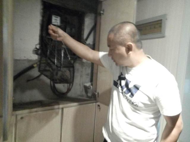 关于建设动物园的建议报告
