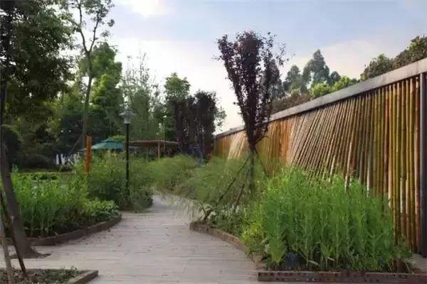 乡村振兴，如何吸引并留住年轻人的策略
