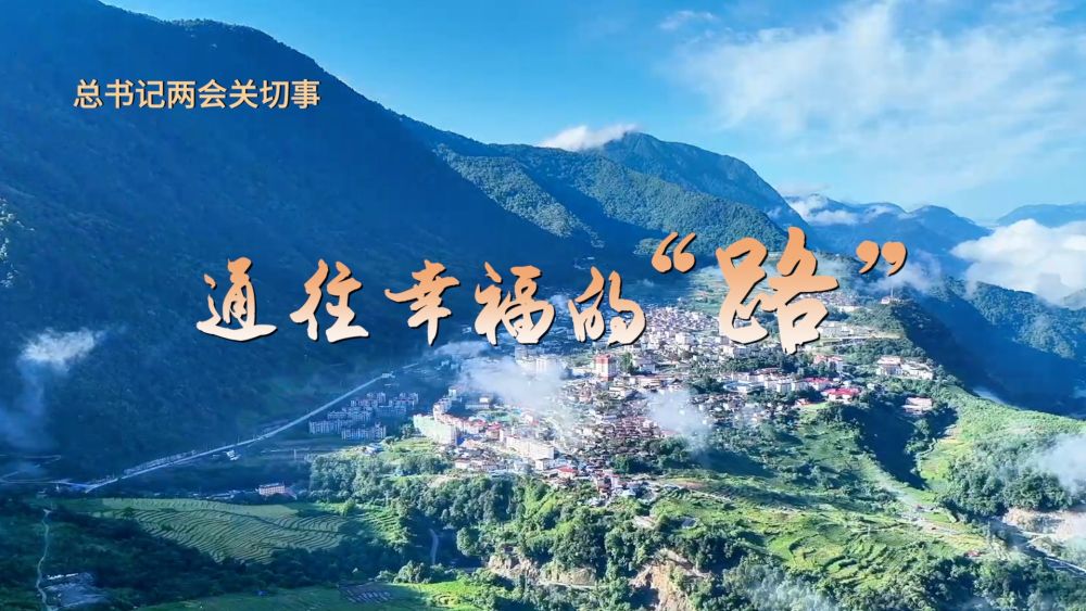 总书记的两会关心事