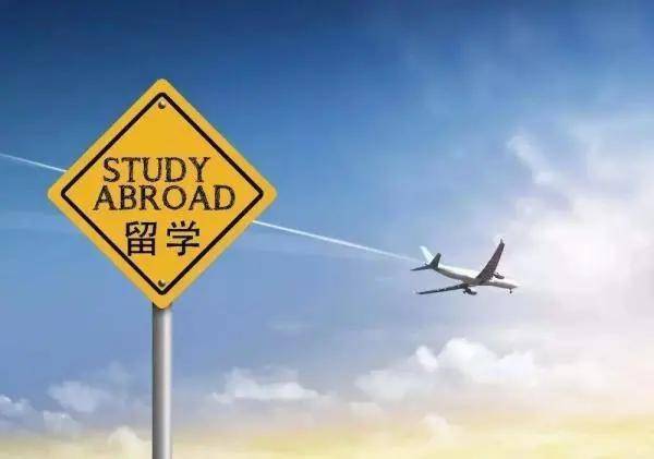 放弃留学会后悔吗？全面解读留学决策背后的心理与现实