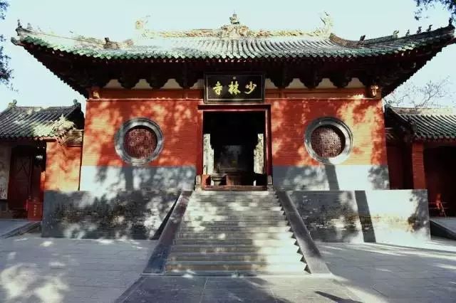 玉兰传奇，河南大爷80岁踏访法喜寺，探寻500岁玉兰的千年魅力