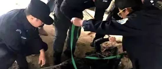 英勇救援！60多岁大爷跳河救轻生美女