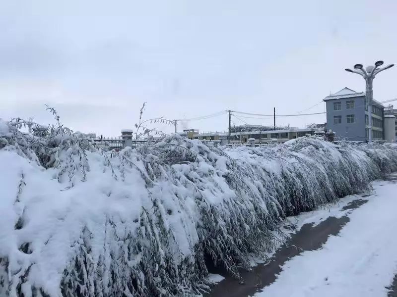 暴雪突袭满洲里，一场突如其来的挑战与应对