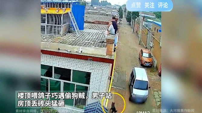 男子遇偷狗贼后英勇反击，房顶扔砖猛砸贼影