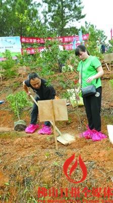 佛山一小区惊现疑似装修骨灰房事件，真相与反思