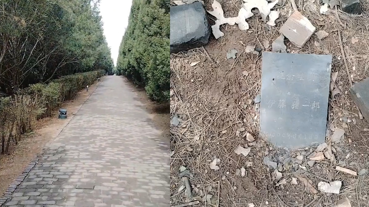 秦始皇陵甬道上的日本人植树纪念碑，历史与文化的交汇