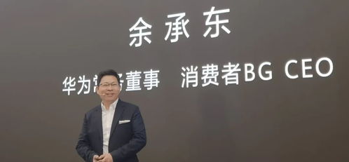 揭秘余承东的身价，究竟多少钱？