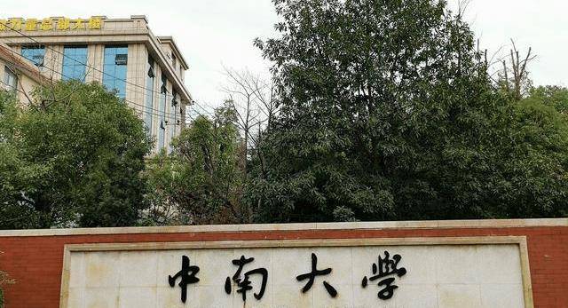 中南大回应六旬教授考核不合格，深度解读与分析