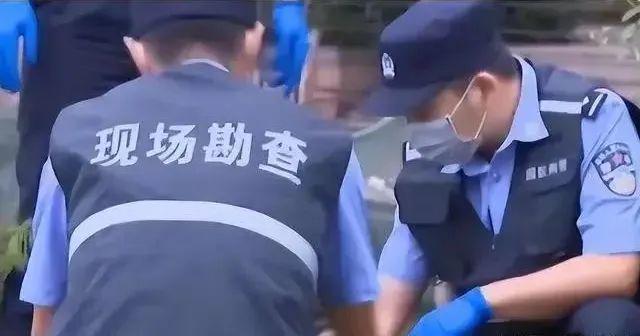 华山失踪小伙身亡原因深度解析