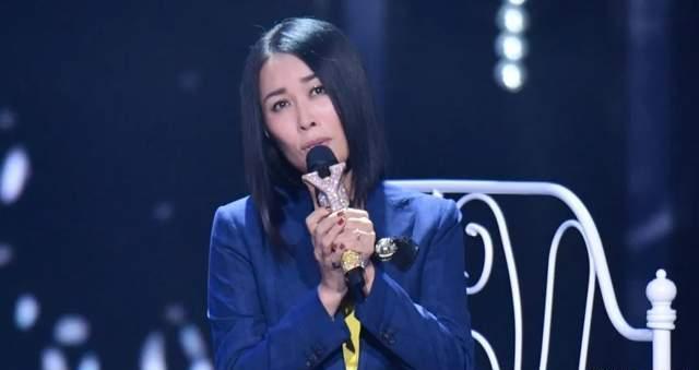 刀郎大型演唱会，音乐盛宴的激情之夜
