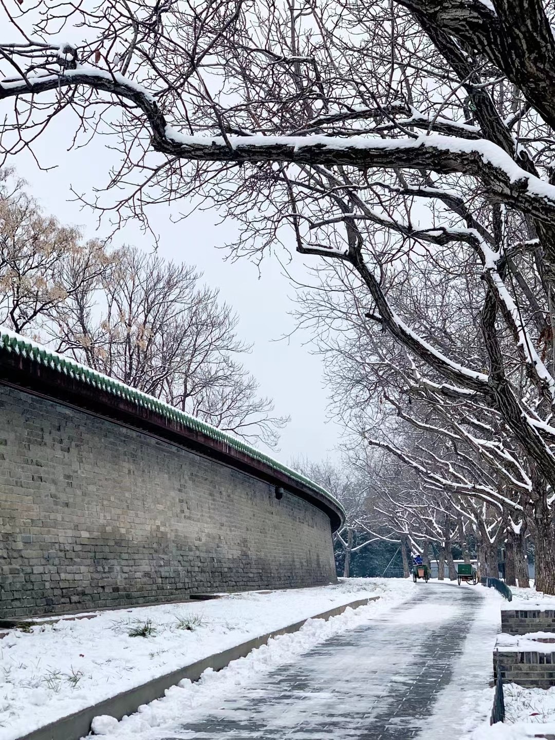 北京竟然下雪了，一场意料之外的冬日奇迹