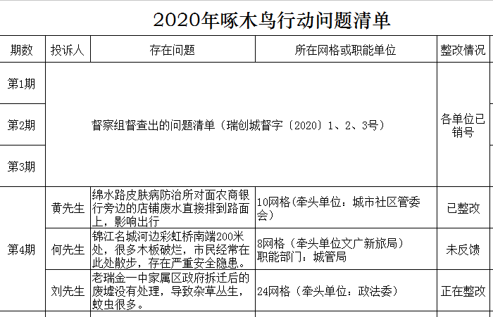 啄木鸟行动实施方案，打造高效、精准的网络环境维护方案