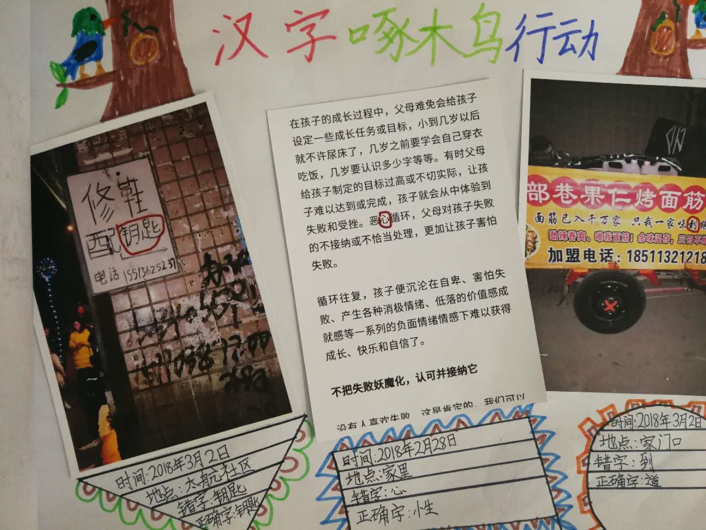 啄木鸟行动实施方案，打造高效、精准的网络环境维护方案