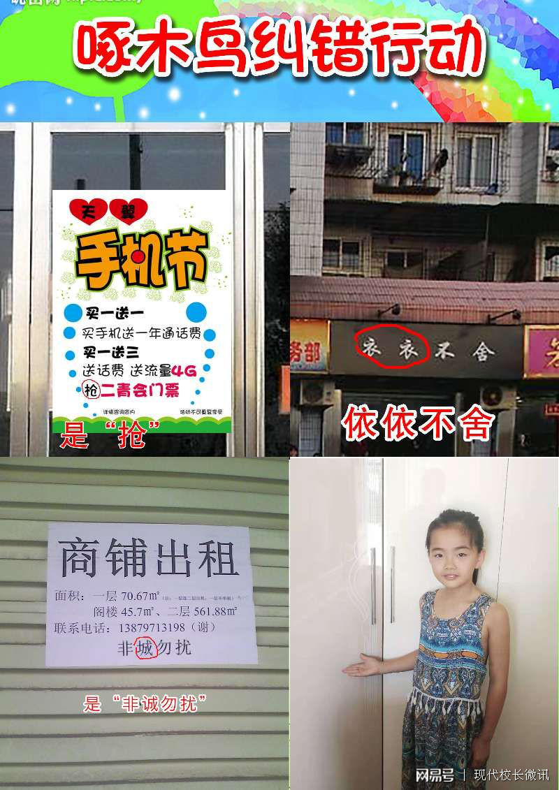 啄木鸟行动实施方案，打造高效、精准的网络环境维护方案