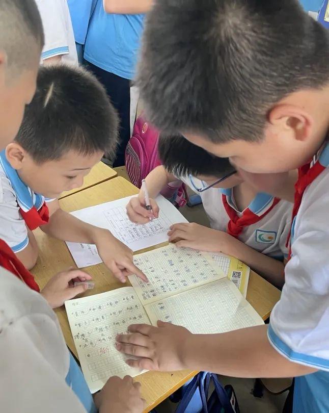 揭秘啄木鸟行动，究竟是做什么的？