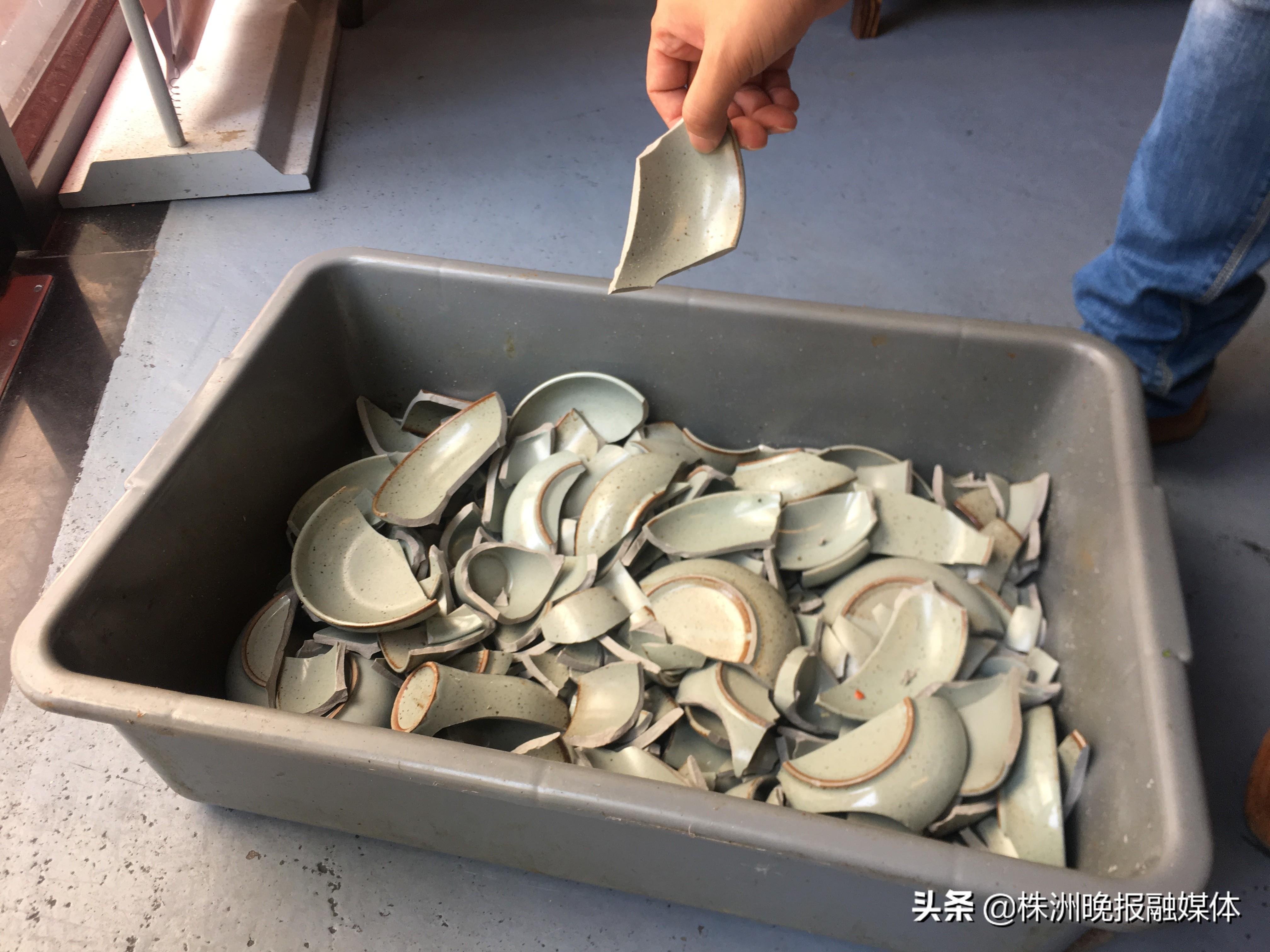 女子用餐厅餐具喂狗，一场引发争议的行为艺术