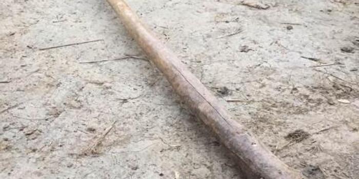 锄头下的悲剧，一对夫妻的意外离世