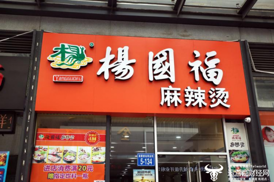 杨国福门店惊现老鼠事件，探究与反思