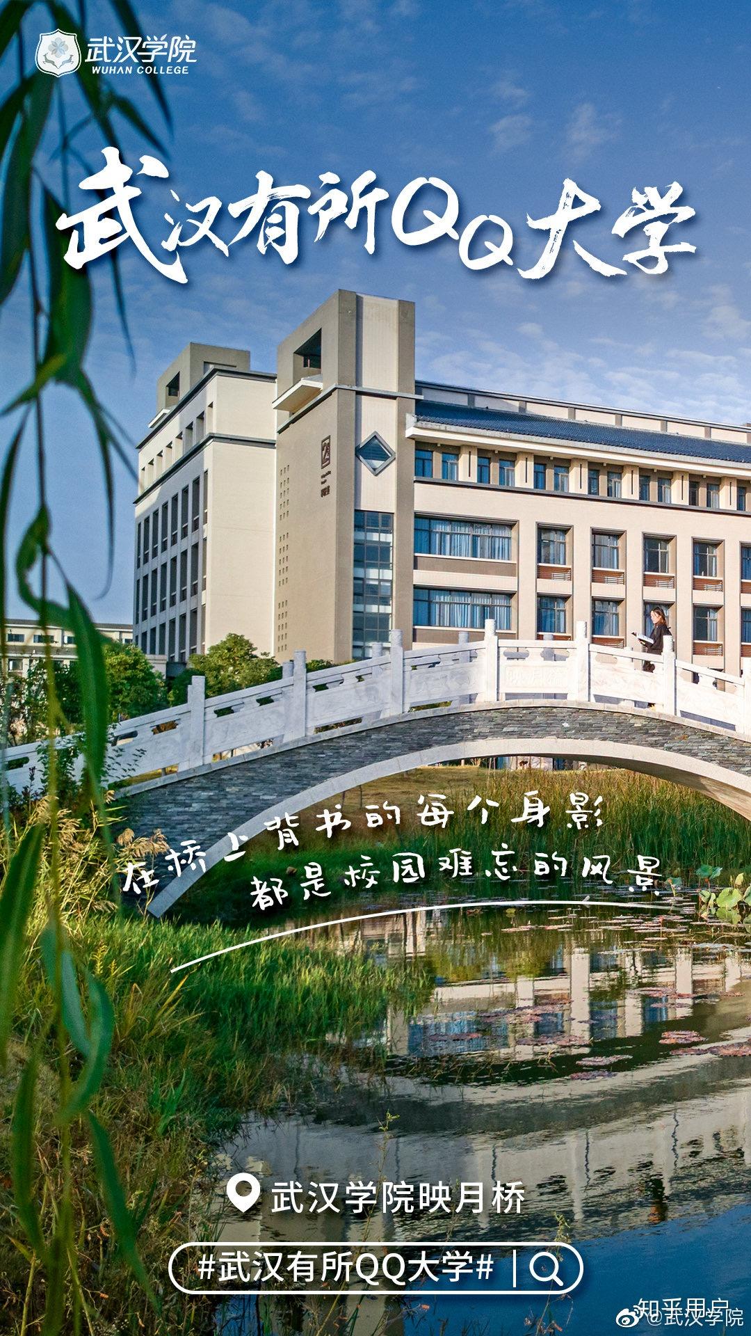 武汉大学就读体验，一场文化与知识的盛宴
