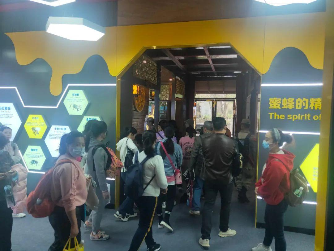 南宁一学生遭蜜蜂围殴倒地事件深度解析
