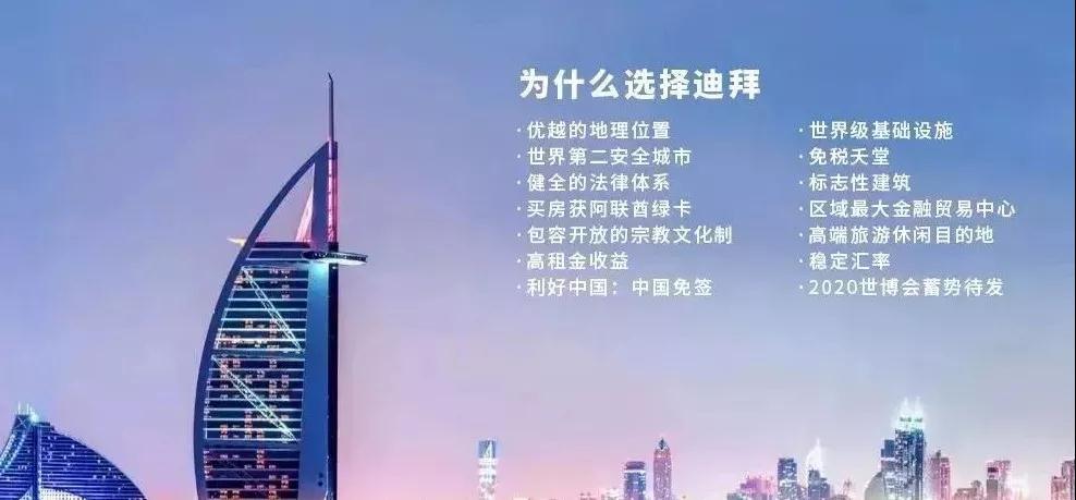 阿联酋承诺向美国投资，开启两国合作新篇章