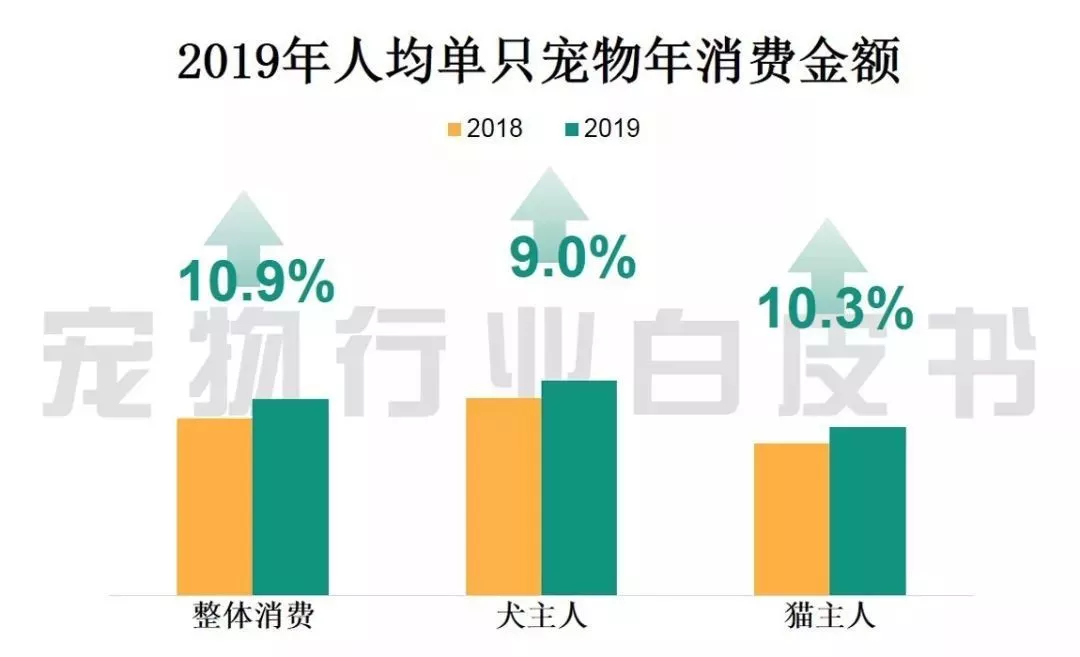 电商巨头猫狗拼财报大PK