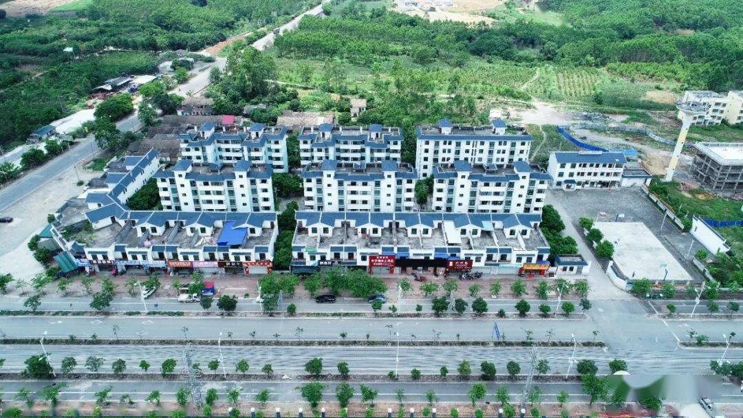 全国村委，乡村振兴的新动力