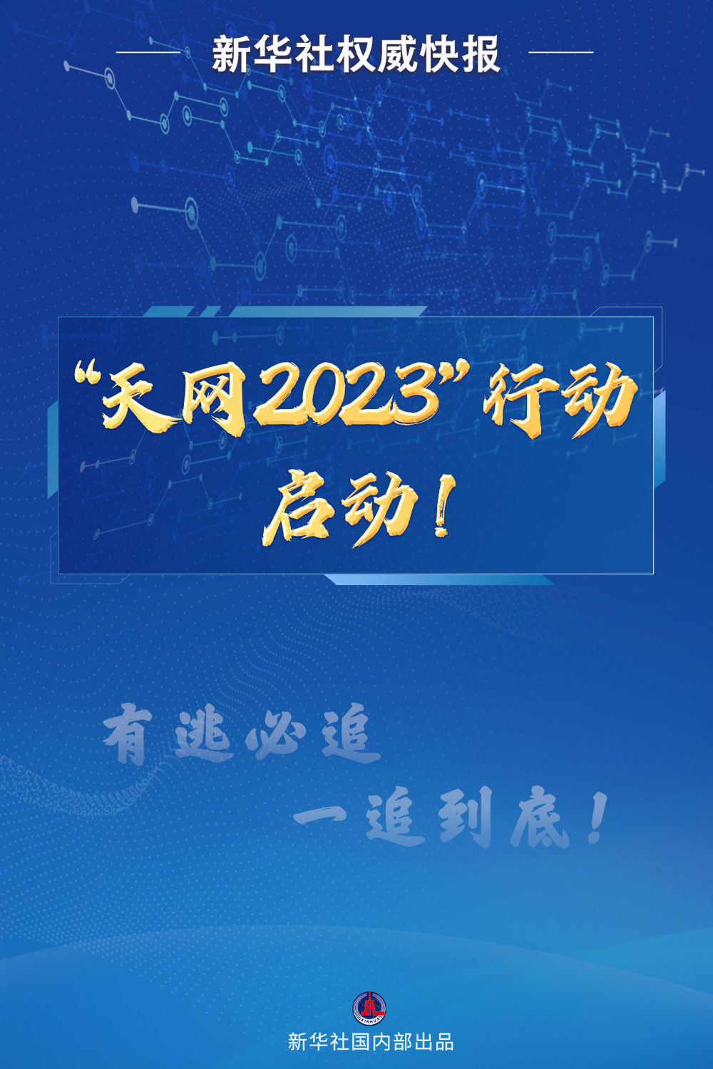 天网行动，迈向未来的数字化新篇章