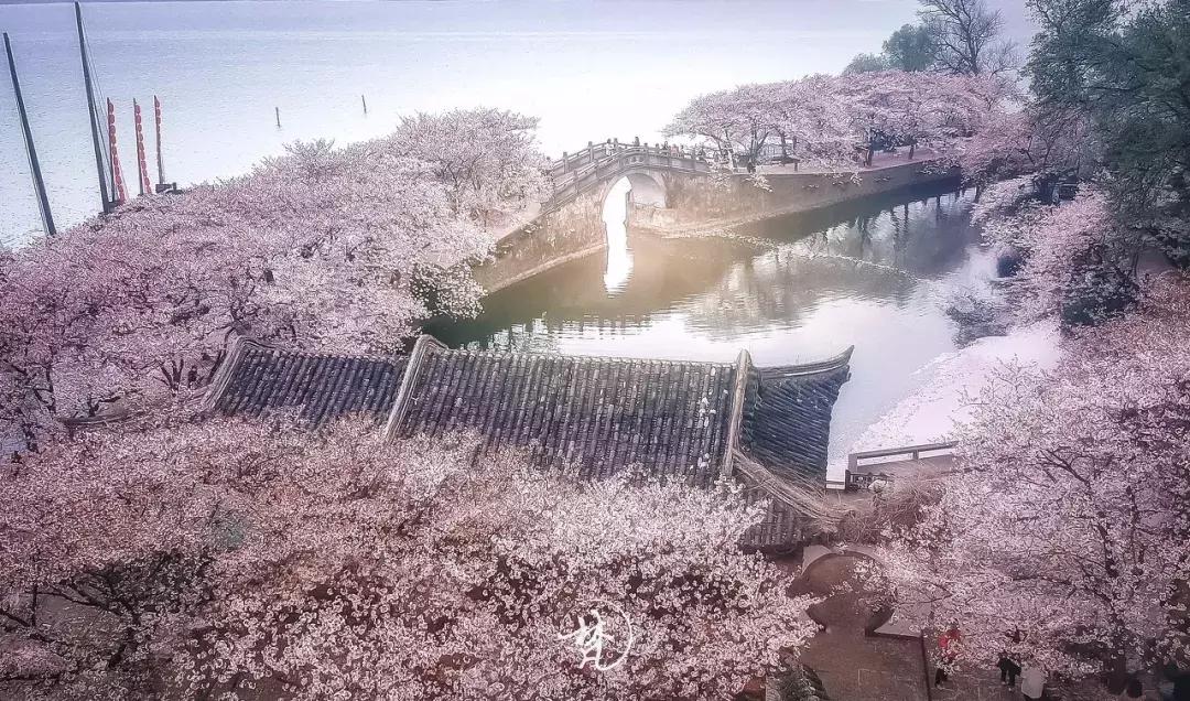 清明节高速免费时间解析与攻略