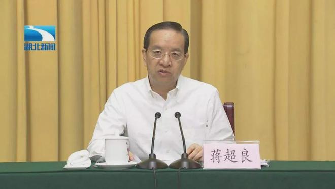 蒋超良被提请罢免，解读曾经的湖北省委书记之路