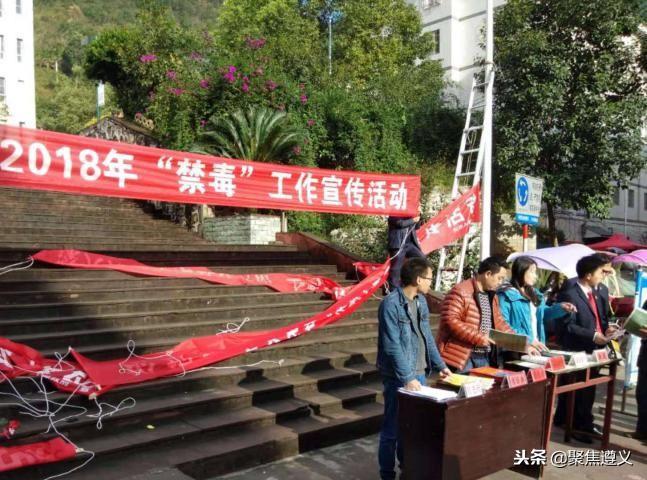 女子种900余株罂粟背后的故事与反思