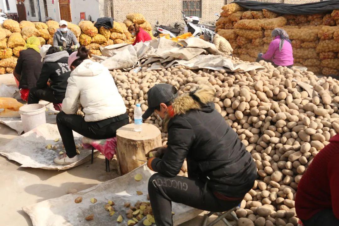 全国春播粮食3500多万亩，播种希望，共筑粮食安全