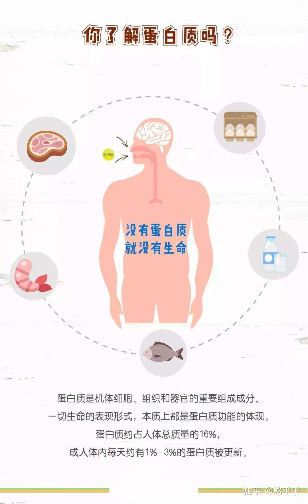 新车内有人体蛋白质，一场关于科技与道德的探讨