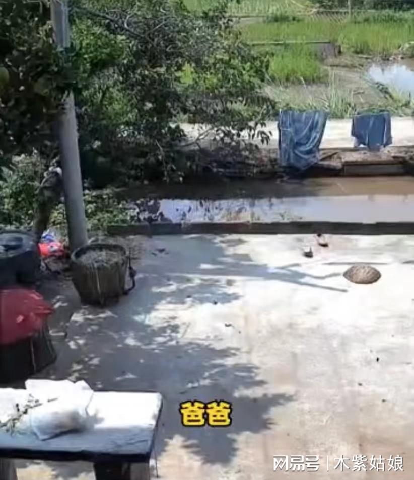 父爱无声胜有声，爸爸通过监控对女儿传递的关怀